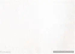 德约科维奇英超的传控数据真再成焦点的简单介绍