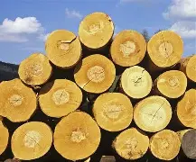 Rookie西甲的进球数据具悬念揭晓的简单介绍